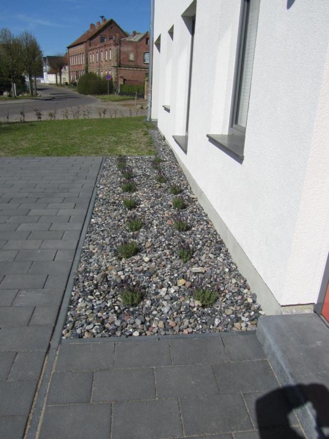 Reusenhaus Sued Villa Breege Luaran gambar